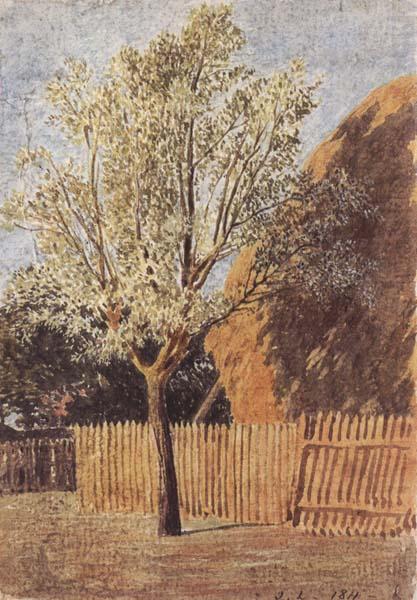 John linnell Study of a Tree china oil painting image